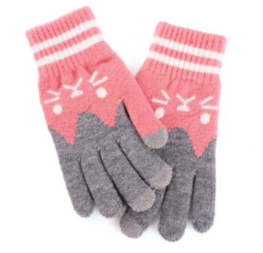 https://hidzo.nl/storage/cache/225/6c1800057d8945473db167ef58f7fee3/Hidzo%20Handschoenen%20-%20Roze%20Grijs%20-%20Touch%20Vingertop%20-%20S_M.webp