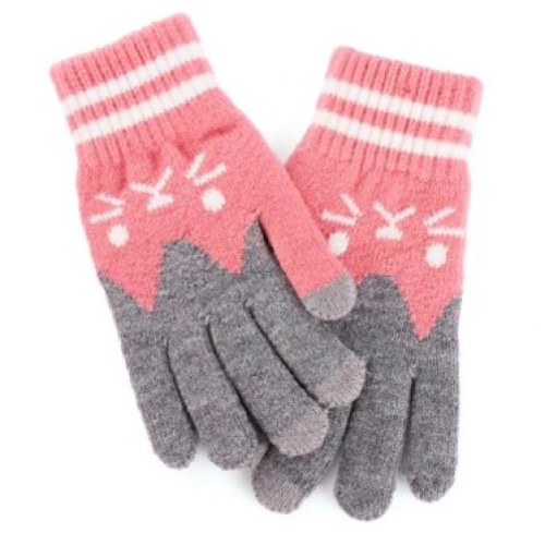 https://hidzo.nl/storage/cache/225/98b8fdd268ad2beda0fa4ee5dd9b352e/Hidzo%20Handschoenen%20-%20Roze%20Grijs%20-%20Touch%20Vingertop%20-%20S_M.webp