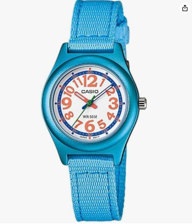 https://hidzo.nl/storage/cache/7540/fdc76b8fddf36e4bd11e06b94b19e344/Casio%20LTR-19B-2B1Vdf.webp